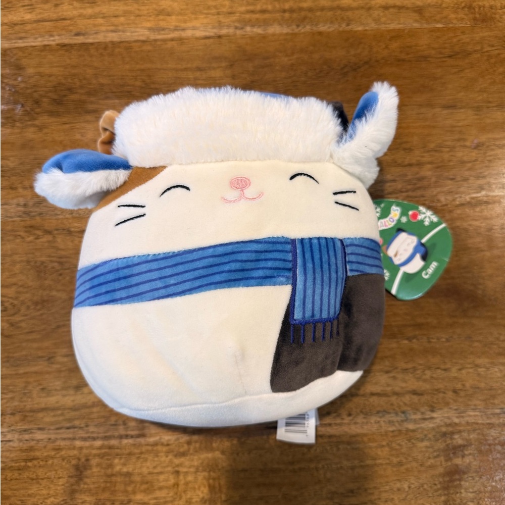 Kellytoy Squishmallows Small 8 inch Holiday Cat Cam CHEER Blue Scarf / Hat EUC